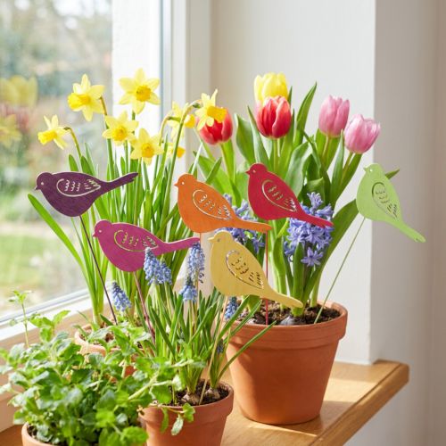 Frühlingsdeko Blumenstecker Holz Vogel Deko 28cm 18 St | Floristik24.de