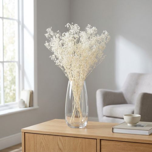 Schleierkraut Weiß Trockengräser Deko Creme 65-70cm 100g | Floristik24.de