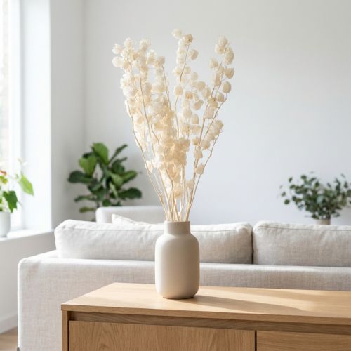 Artikel Physalis getrocknet Gebleichte Lampionblume Deko Nicandra 75-80cm 100g
