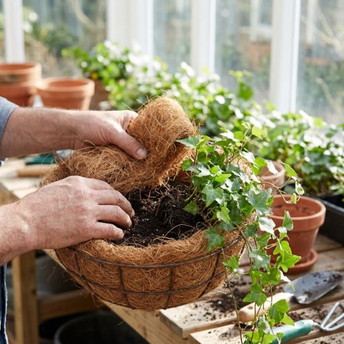 Kokosfaser Natur Pflanzenfaser Naturfaser Bastelmaterial 1kg | Floristik24.de