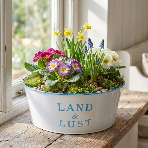 Blumenschale rund Pflanztopf Weiß Übertopf Metall 25×10cm | Floristik24.de