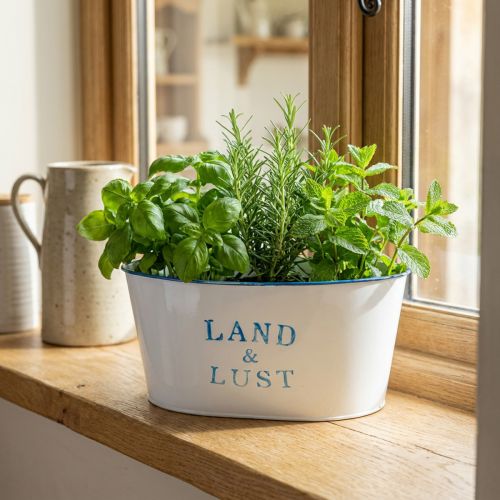Blumenschale oval Pflanztopf Metall Weiß, Blau 26×17×12cm | Floristik24.de