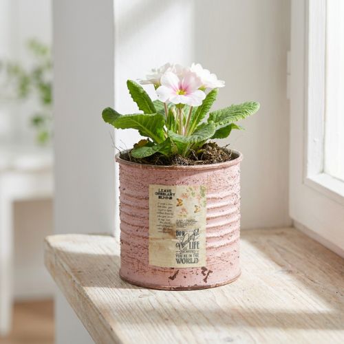 Blumentopf Deko-Dose rund Altrosa Metall Pflanzdose Ø8cm H7,5cm | Floristik24.de