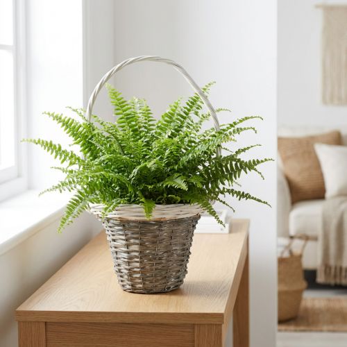Artikel Weidenkorb Henkelkorb Grau Weiß Ø25 H45cm Deko Pflanzenkorb