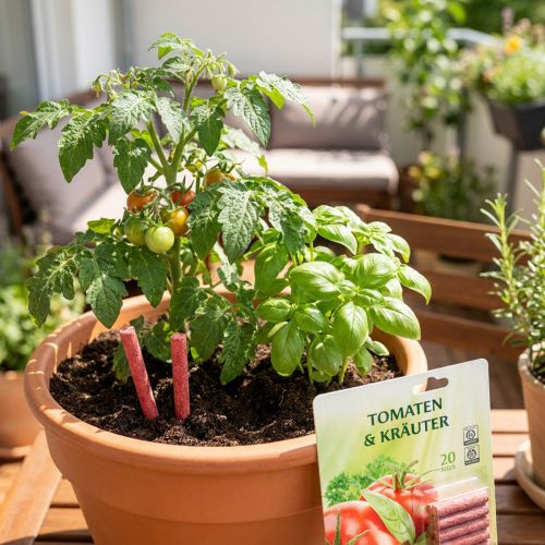 Düngestäbchen Tomaten & Kräuter 3 Monate Chrysal 20 St | Floristik24.de