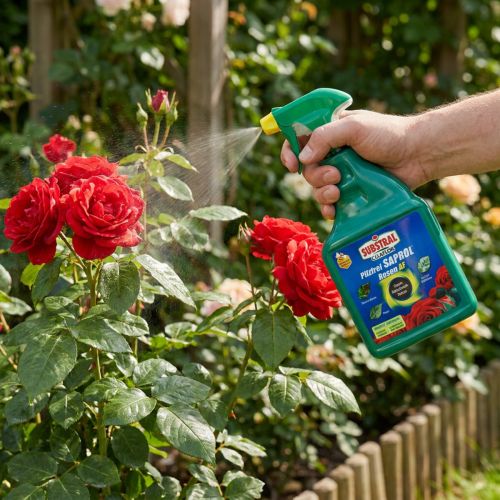 Artikel Substral Celaflor Pilzfrei Saprol Rosen AF Fungizid 750ml