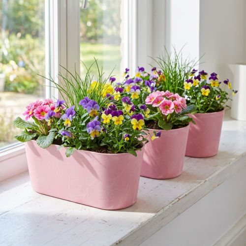 Pflanzschiffchen Pflanzschale oval Rosa 27×11×10cm 3St | Floristik24.de