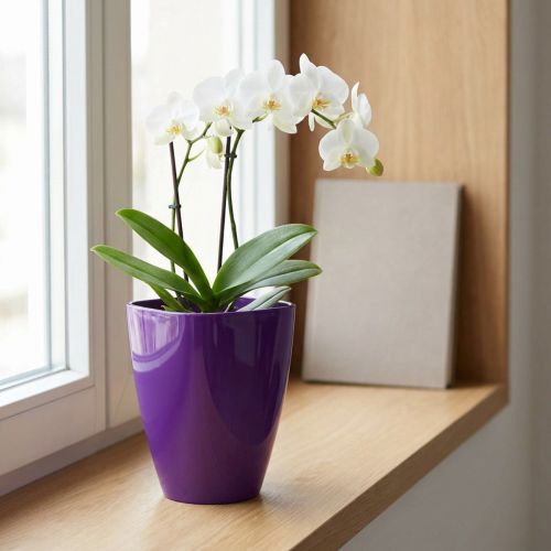 Orchideentopf Glänzend Ø12,5cm Violett | Floristik24.de
