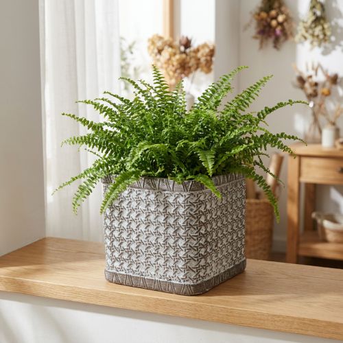 Übertopf Pflanzkasten Keramik Blumentopf 15×15×15cm | Floristik24.de