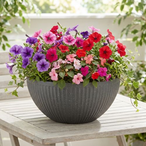 Pflanzschale Kunststoff Anthrazit Ø35cm H16,5cm