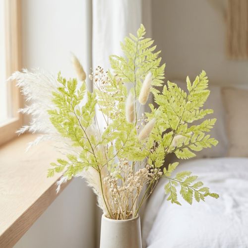 Farn konserviert Edles Naturmaterial für langlebige Dekorationsprojekte 40cm 10St | Floristik24.de