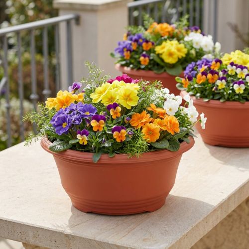 Pflanzschale aus Plastik Ø27cm Runde Schale Terrakotta 5St | Floristik24.de