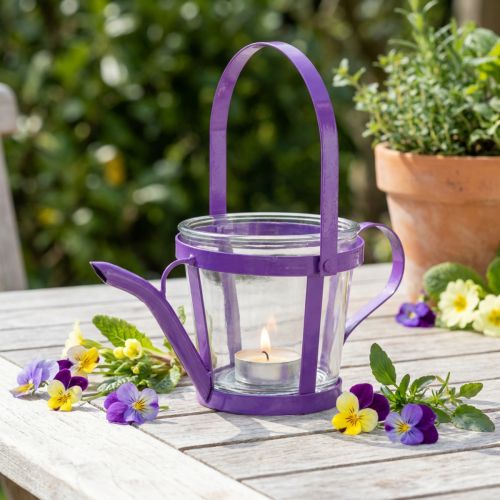 Windlicht Glas Deko Gießkanne Metall Lila Ø14cm H13cm | Floristik24.de