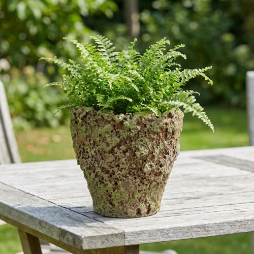 Pflanztopf rustikal Übertopf Moos-Optik Ø17cm H16,5cm | Floristik24.de