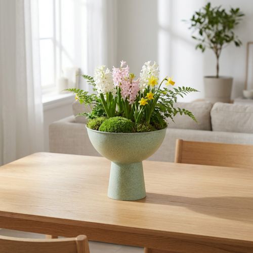 Schale für Pflanzen 25cm
