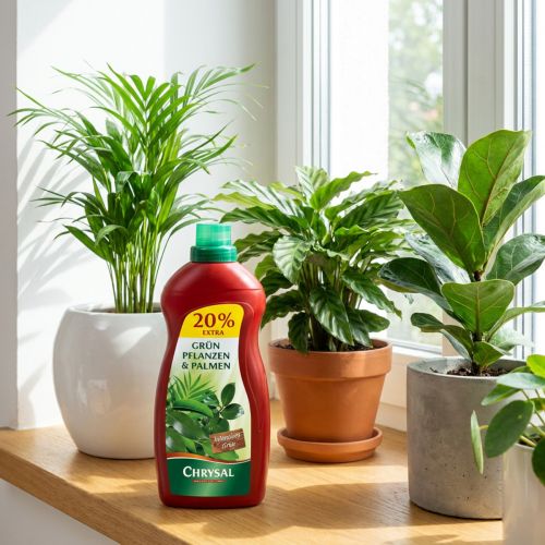 Chrysal Grünpflanzen & Palmen Dünger 1200ml | Floristik24.de