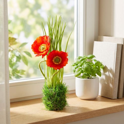 Mohn Rot im Gras 23cm | Floristik24.de