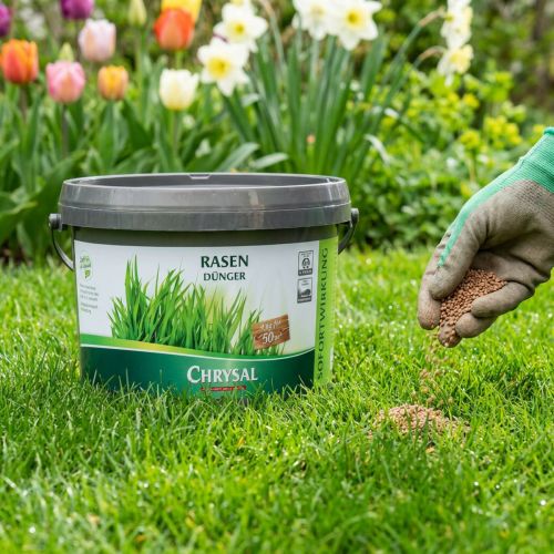Chrysal Rasendünger Düngemittel Rasen 1kg | Floristik24.de