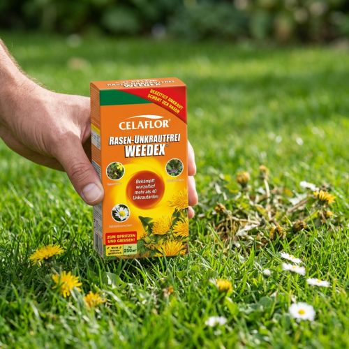 Artikel Celaflor Rasen-Unkrautfrei Weedex 250 ml