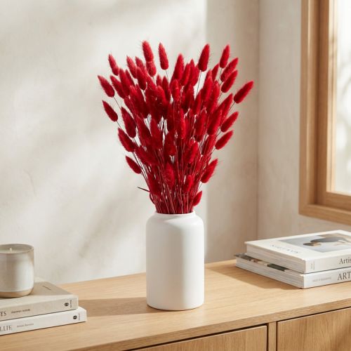 Hasenschwanzgras Lagurus Getrocknet Rot 60cm 50g Trockenblumen Deko | Floristik24.de