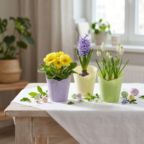 Pflanztopf gewebt Übertopf Papier Grün, Gelb, Lila Ø7cm H13cm 12St | Floristik24.de