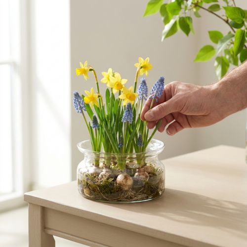 Glasschale Dekoschale Glas Schwimmschale Ø16cm H8cm | Floristik24.de