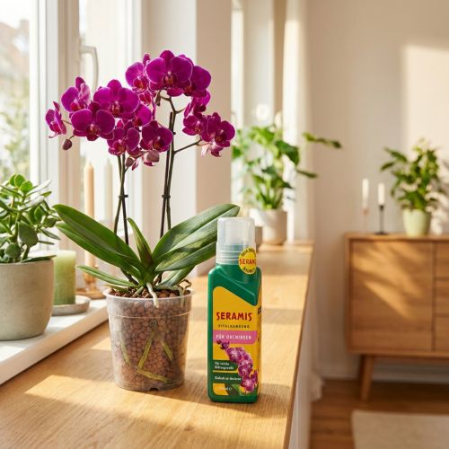 Seramis® Vitalnahrung für Orchideen Orchideendünger 200ml | Floristik24.de