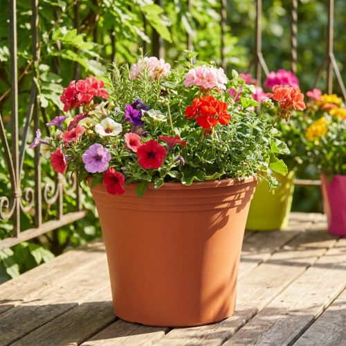 Topf „Irys“ Plastik Terrakotta Ø33cm H27,5cm 1 St | Floristik24.de