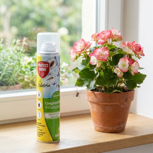Artikel Protect Home Natria Ungeziefer Frostspray Insektizidfrei 300ml