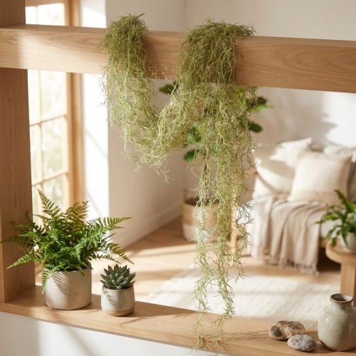 Tillandsie Deko Hänger Tillandsia künstlich Grün Weiß 180cm | Floristik24.de