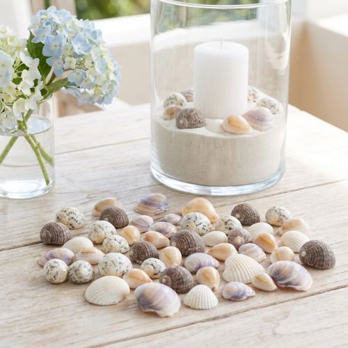 Muschel Deko Mini Herzmuscheln
