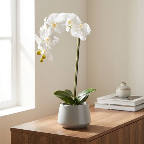 Artikel Kunstpflanze Orchidee täuschend echt für Büro und Wohnzimmer Dekoration 62cm