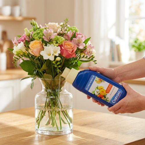 Chrysal Schnittblumenfrisch 250ml für lange Frische