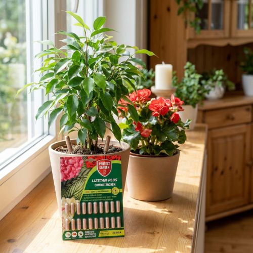 Protect Garden Lizetan Plus Combistäbchen 20 St | Floristik24.de