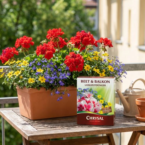 Chrysal Langzeitdünger Beet & Balkon 300g | Floristik24.de