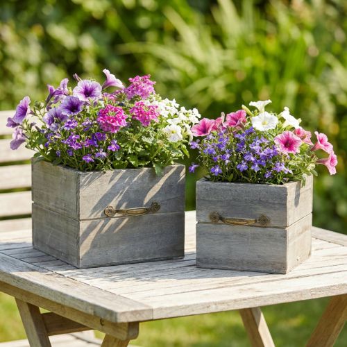 Pflanzgefäß Holzschublade Grau gewaschen 15×15cm/12×12cm 2er-Set | Floristik24.de