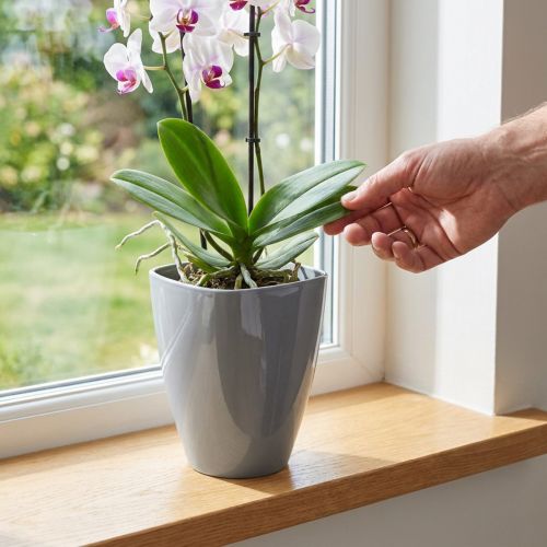 Orchideentopf glänzend Ø12,5cm Grau 1 St | Floristik24.de