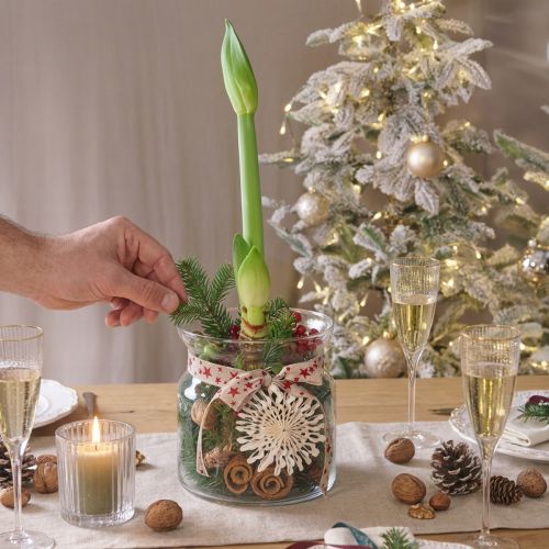 Deko Glas Vase Windlicht Glas Klar Ø18cm H20cm | Floristik24.de