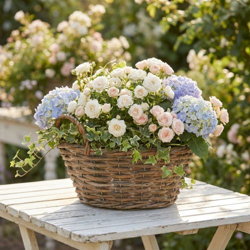 Pflanzgefäß Korb Shabby Chic Natur Weiß H14cm Ø30cm mit Griffen Vintage Deko | Floristik24.de