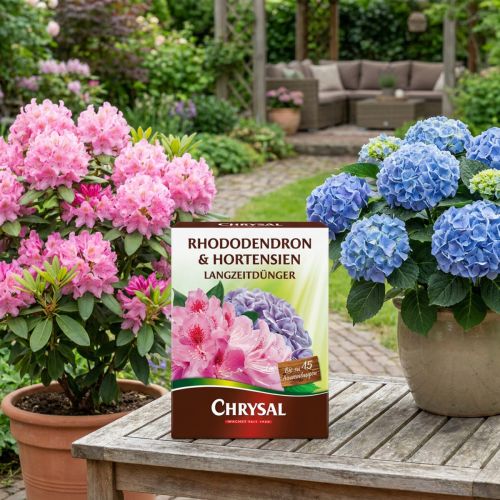 Langzeitdünger Rhododendron und Hortensien 300g | Floristik24.de