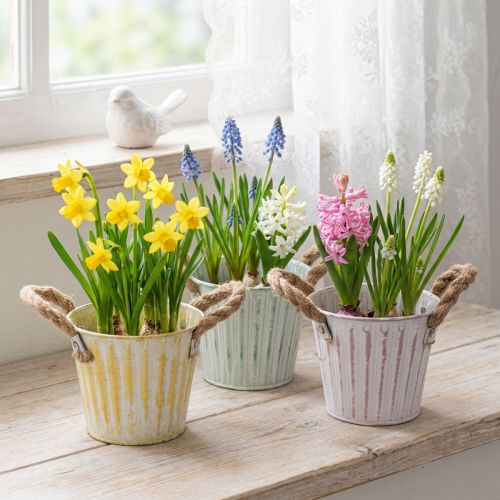 Pflanzeimer, Metalltopf mit Henkeln, Dekogefäß zum Bepflanzen Rosa/Grün/Gelb Shabby Chic Ø12cm H10cm 3er-Set | Floristik24.de
