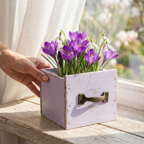 Schublade Shabby Chic Deko Holz Lila Frühlingsdeko 12,5×12,5×10cm | Floristik24.de