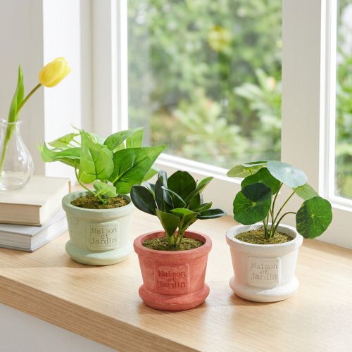 Künstliche Grünpflanzen Mini Pflanzen im Topf 15cm 3St | Floristik24.de