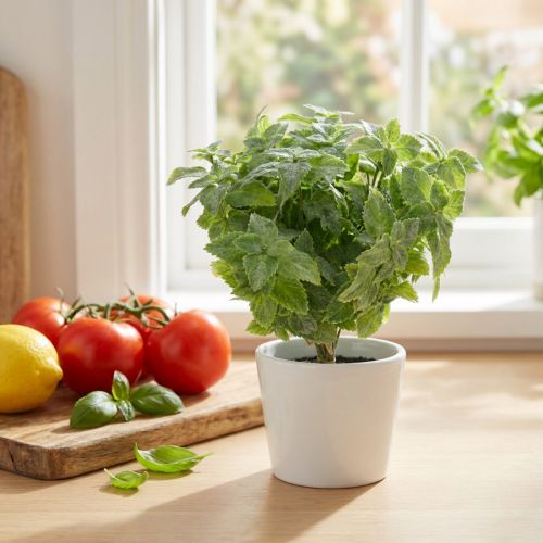 Minze künstlich Grün 25cm 12 St | Floristik24.de
