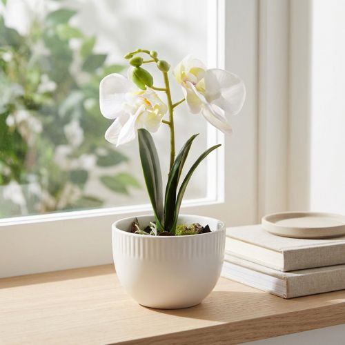 Mini Orchideen künstlich Weiße Orchideen im Topf 15cm | Floristik24.de