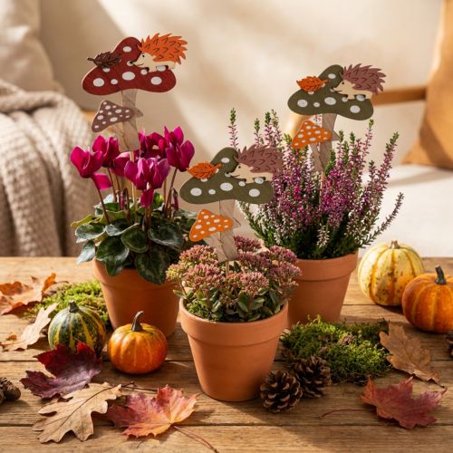 Blumenstecker Fliegenpilz Deko Igel Herbstdeko 8cm 12 St | Floristik24.de