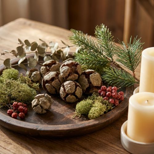 Zypressen Zapfen Natur 3cm 500g | Floristik24.de