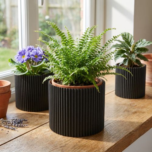 Übertopf Papier Blumentopf Schwarz Ø19cm H14cm 3 St | Floristik24.de