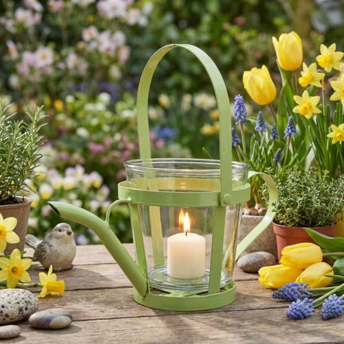 Windlicht Glas Deko Gießkanne Metall Grün Ø14cm H13cm | Floristik24.de