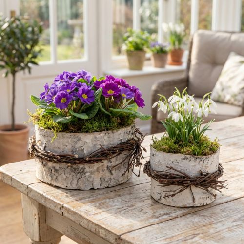 Übertopf Holz Birkenholz Birkentopf Weiß Ø11/16cm 2er-Set | Floristik24.de